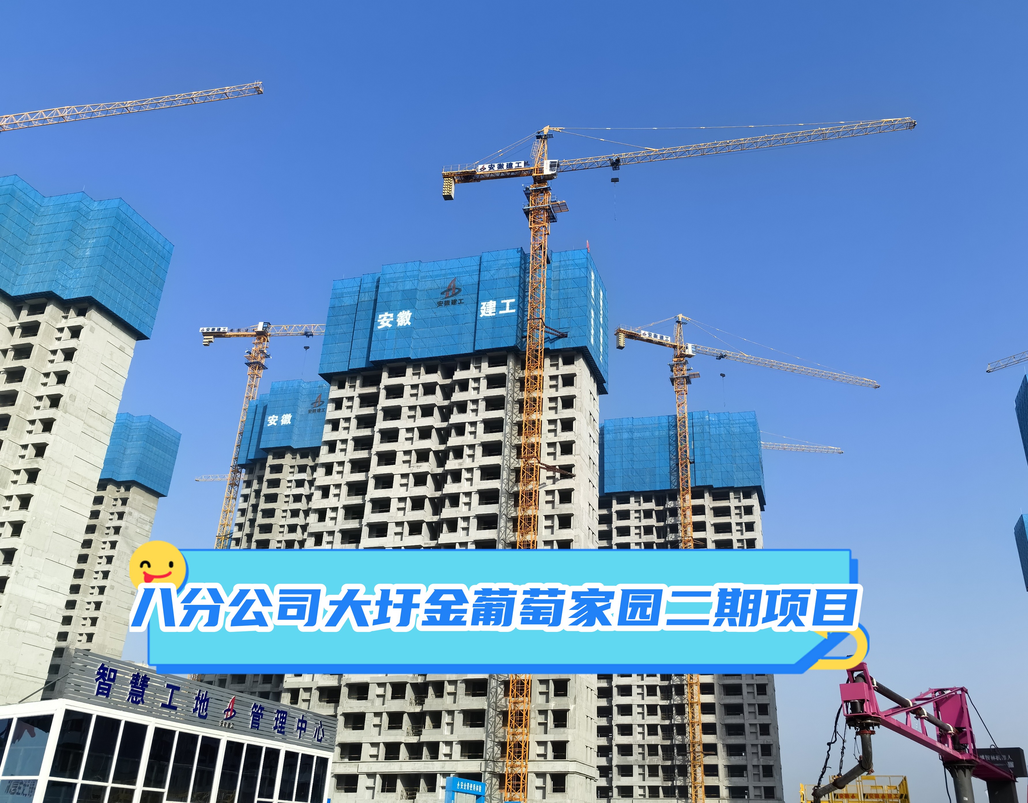 U乐国际(中国)集团