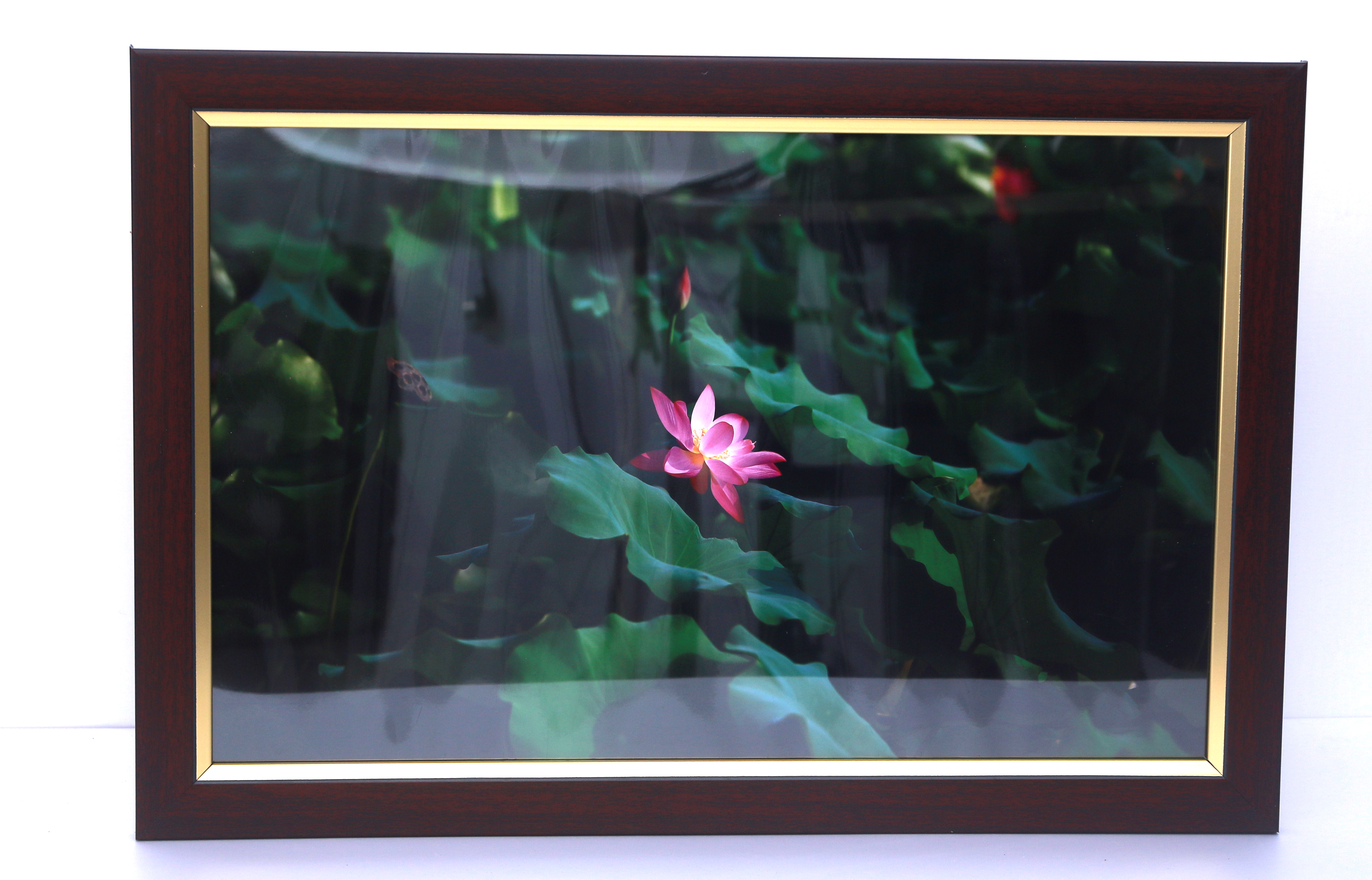 U乐国际(中国)集团