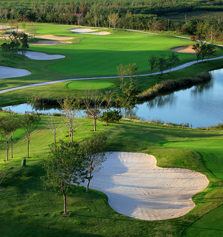 U乐国际(中国)集团