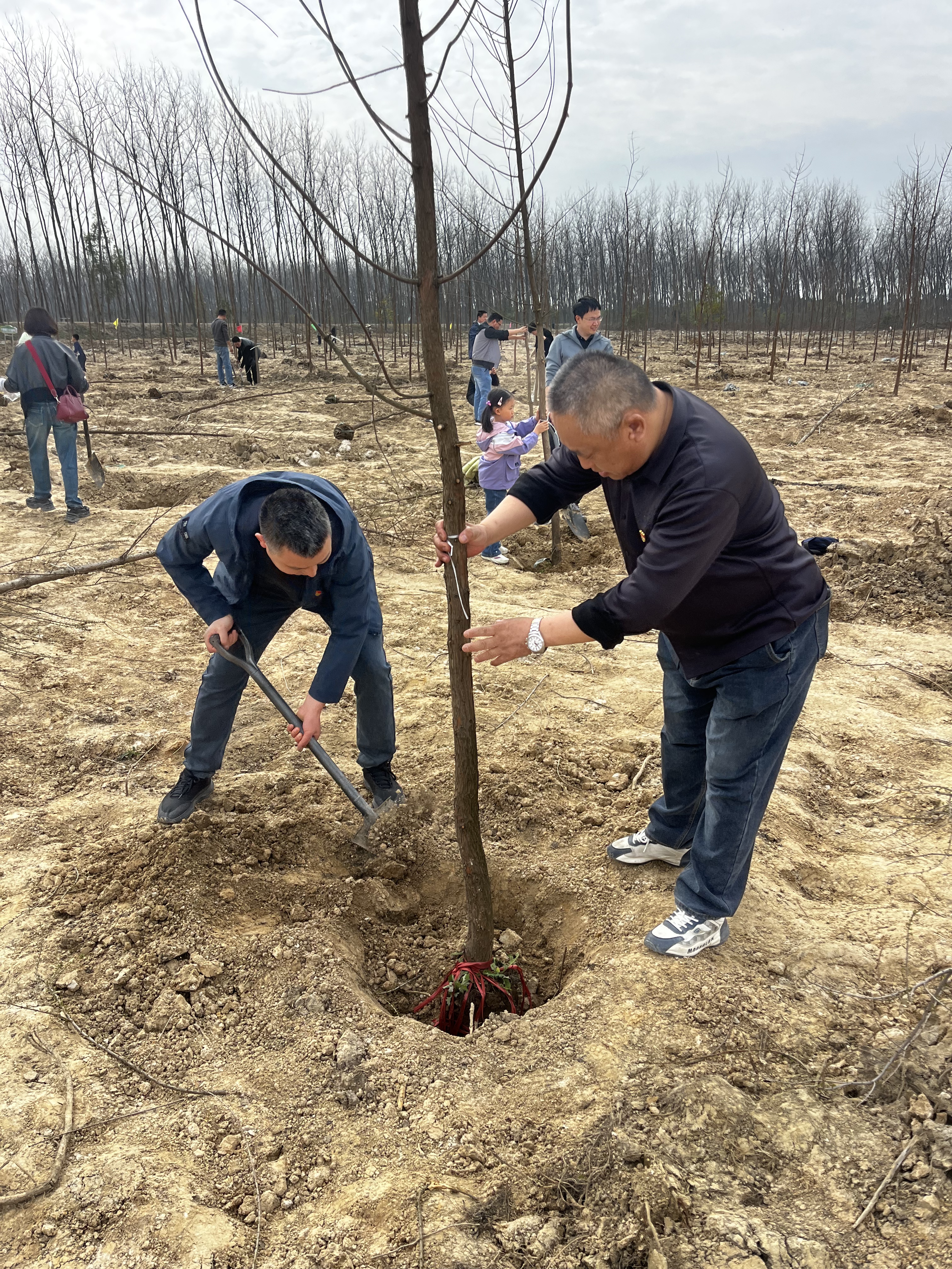 U乐国际(中国)集团