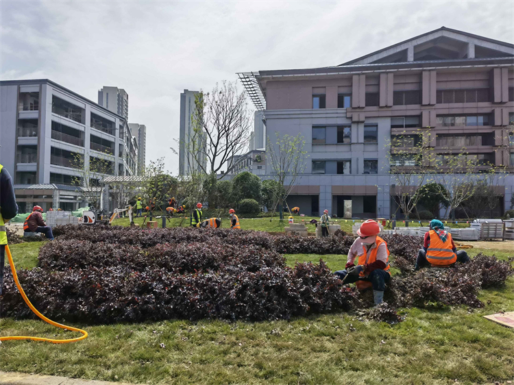 U乐国际(中国)集团