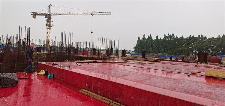 U乐国际(中国)集团