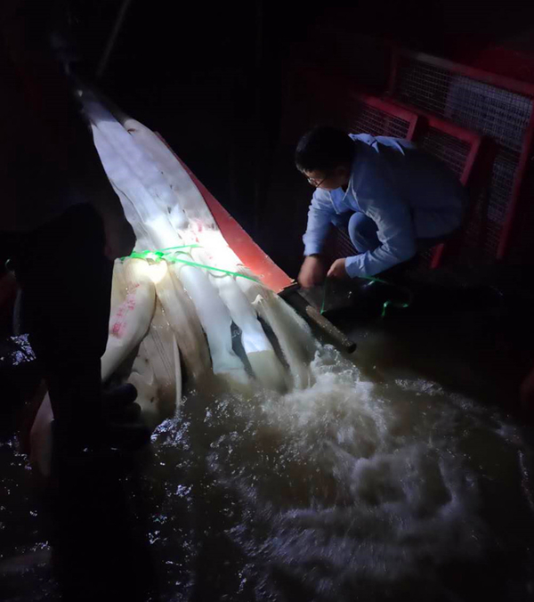 U乐国际(中国)集团