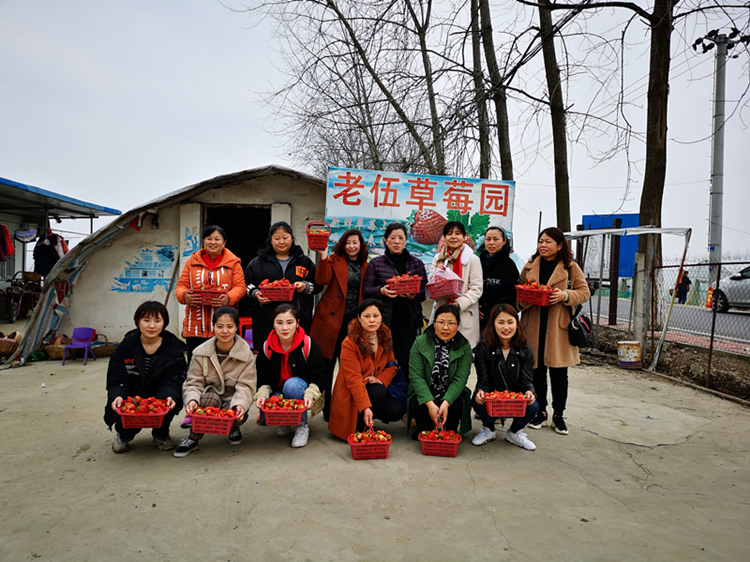 U乐国际(中国)集团